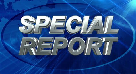 Special Report 